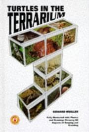 Tapa de Turtles in the terrarium