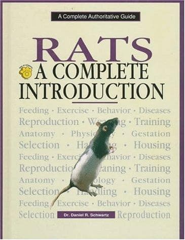 Tapa de Rats