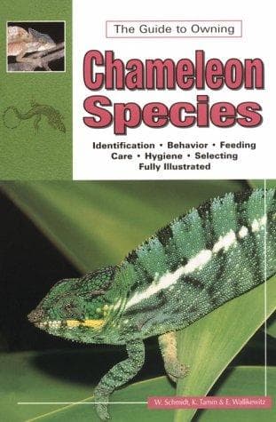 Tapa de Chameleons Vol.1