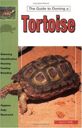 Tapa de The Guide to Owning a Tortoise