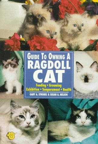 Tapa de Guide to Owning a Ragdoll Cat