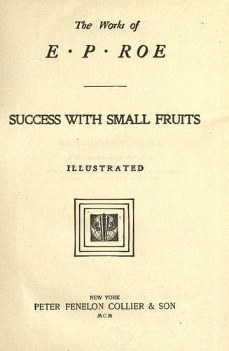 Tapa de Success with small fruits.