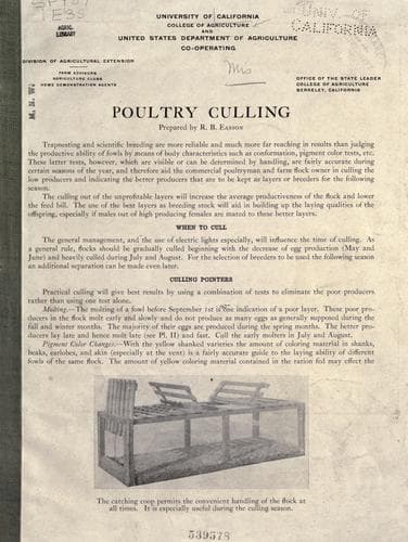 Tapa de Poultry culling