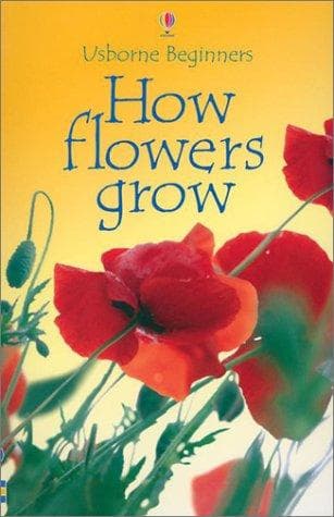Tapa de How Flowers Grow (Beginners)