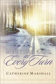Tapa de Meeting God at every turn