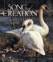 Tapa de Song of creation