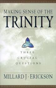 Tapa de Making sense of the Trinity