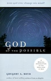 Tapa de God of the Possible