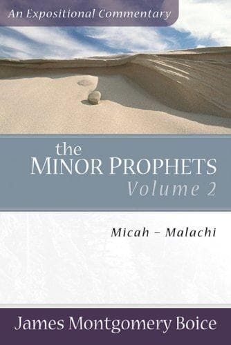 Tapa de Minor Prophets, The, vol. 2