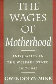 Tapa de The Wages of Motherhood