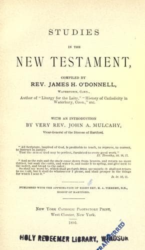 Tapa de Studies in the New Testament