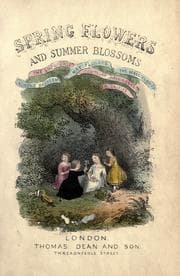 Tapa de Spring flowers and summer blossoms