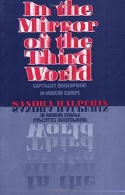 Tapa de In the mirror of the Third World