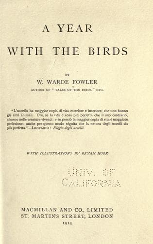 Tapa de A year with the birds