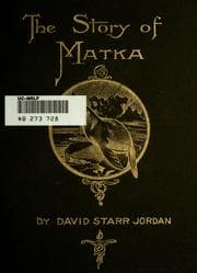 Tapa de The story of Matka