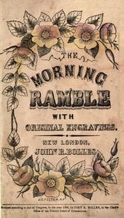 Tapa de The morning ramble