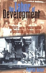Tapa de The Labor of Development