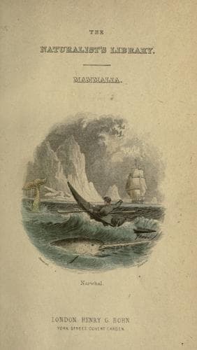 Tapa de Whales