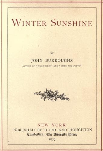 Tapa de Winter sunshine