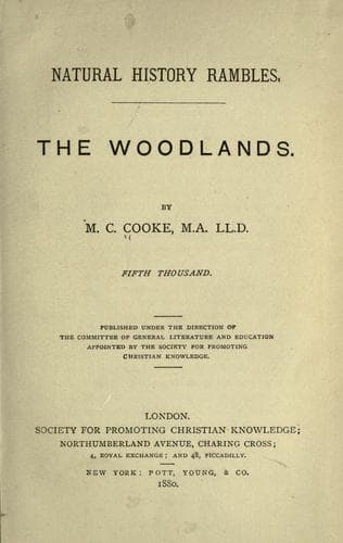 Tapa de The woodlands
