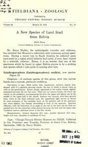 Tapa de A new species of land snail from Bolivia
