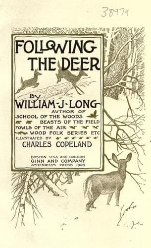 Tapa de Following the deer