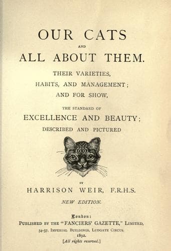 Tapa de Our cats and all about them