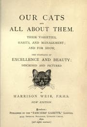 Tapa de Our cats and all about them
