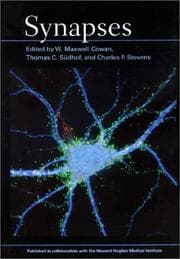 Tapa de Synapses
