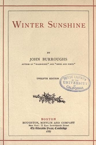 Tapa de Winter sunshine