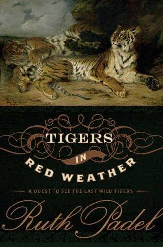 Tapa de Tigers in Red Weather
