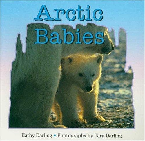 Tapa de Arctic Babies