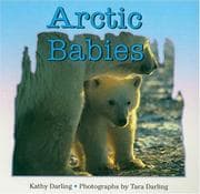 Tapa de Arctic Babies