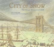 Tapa de City of snow