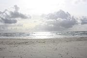 Tapa de The BMW tropicalbeach handbook