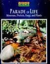 Tapa de Parade of life