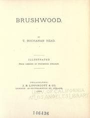 Tapa de Brushwood