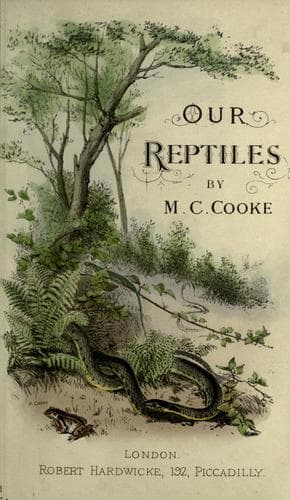 Tapa de Our reptiles