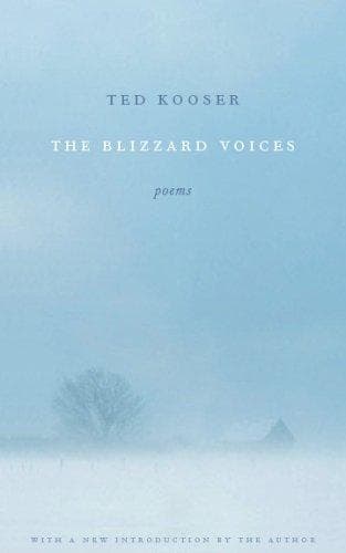 Tapa de The Blizzard Voices