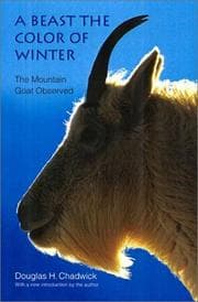 Tapa de A beast the color of winter