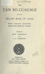 Tapa de The Táin bó Cúailnge from the Yellow book of Lecan