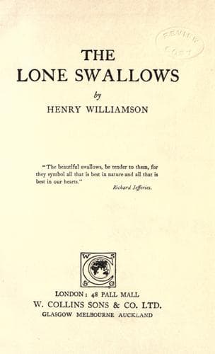 Tapa de The lone swallows