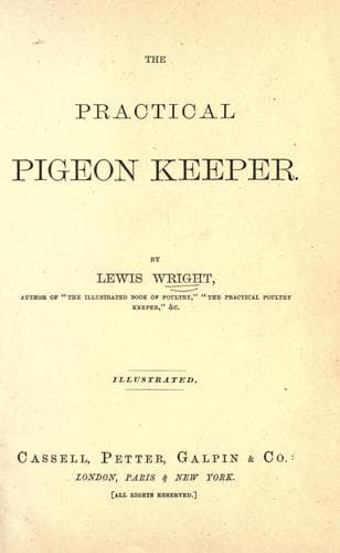 Tapa de The practical pigeon keeper