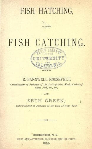 Tapa de Fish hatching, and fish catching