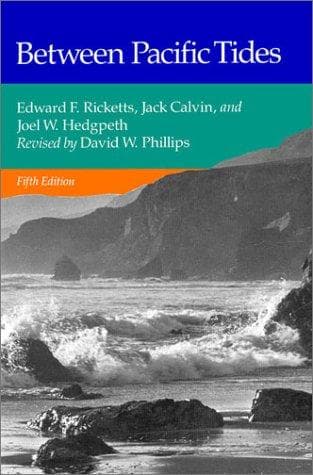 Tapa de Between Pacific tides