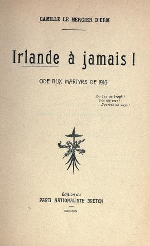 Tapa de Irlande à jamais!