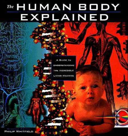 Tapa de The Human Body Explained