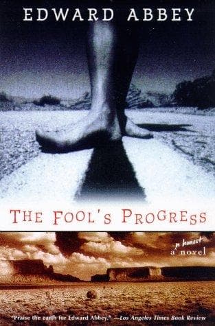 Tapa de The Fool's Progress