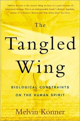 Tapa de The tangled wing