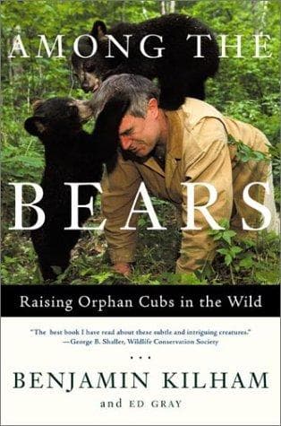 Tapa de Among the Bears